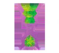 �������ޱ�1/4�����ʸ��� �ձ�vs�����20250813