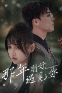 ����պ�������$����������