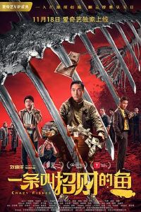 һ�����вƵ���