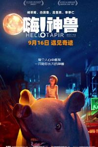 �ˣ�����Ԥ��Ƭ